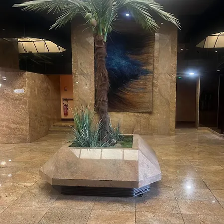 View Of Eiffel Tower 16th Arrondissement Trocadero With Terrasse * פריז